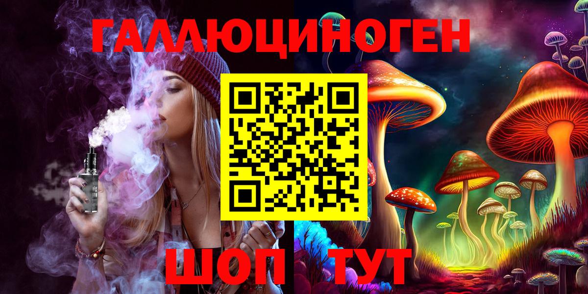 как найти   Вход с VPN  Заволжье  Псилоцибиновые грибы ЛСД 