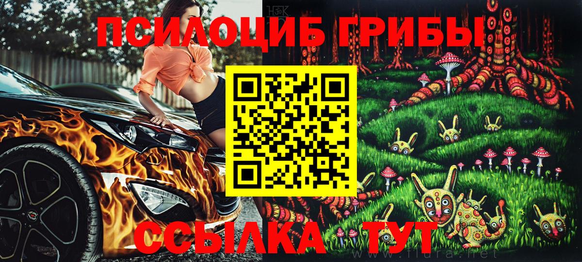 Псилоцибиновые грибы Psilocybe Заволжье
